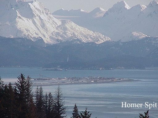 dating in homer alaska