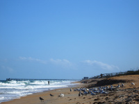 Flagler Beach, FL