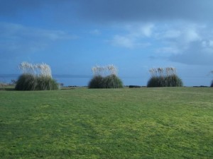 OceanShores-Community Center View 01-2015