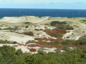 Cape Cod National Seashore