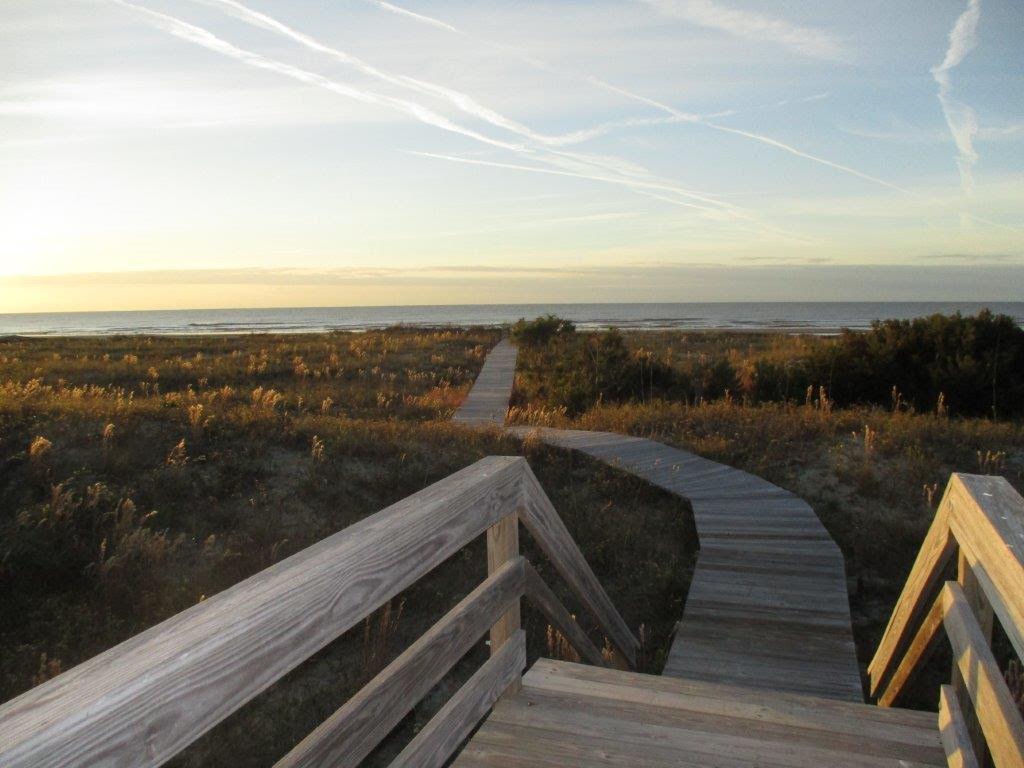 The beach. Photo courtesy of John Pringle