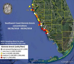 red tide map