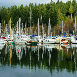 Port Orchard, Washington image 1