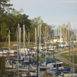 Fairhope, Alabama image 2