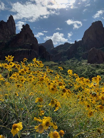 Tucson, Arizona image 3