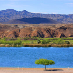 Lake Havasu City, Arizona image 2