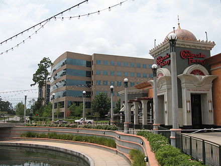 The Woodlands, Texas image 3