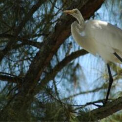 Spring Hill, Florida image 1