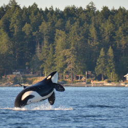 San Juan Islands, Washington image 2