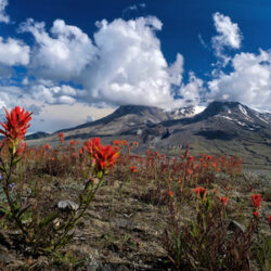 Centralia, Washington image 2