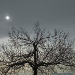 Lone Tree, Colorado image 1