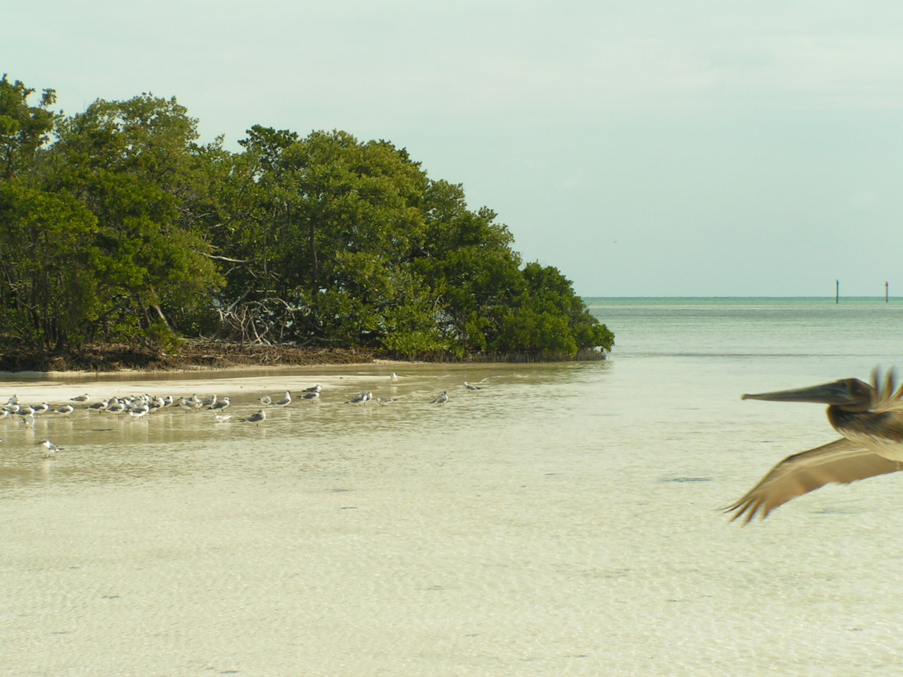 Islamorada, Florida image 3