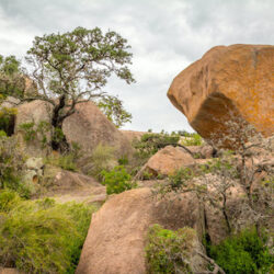 Fredericksburg Texas, Texas image 2