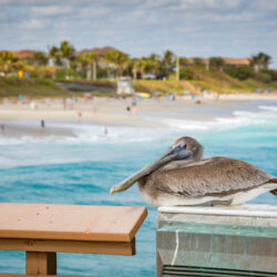 Juno Beach, Florida image 2