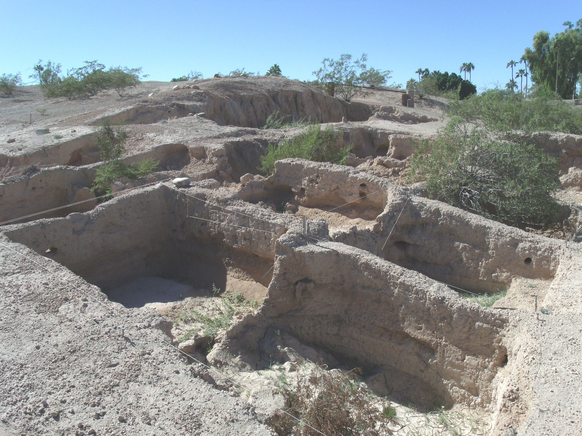 Mesa, Arizona image 3