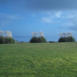 Ocean Shores, Washington image 2