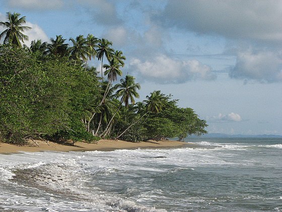 Rincon, Puerto Rico image 3